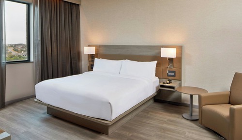 Suite, 1 King Bed with Sofa bed, Valley View