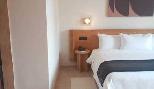 Room, 1 King Bed (Roll-In Shower)