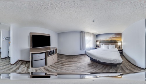 Suite, 1 King Bed with Sofa bed, Non Smoking