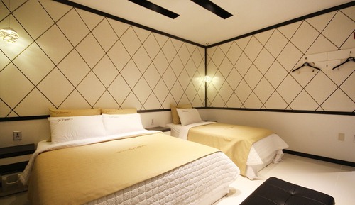 Room (Premium Twin (cancellation not possib)