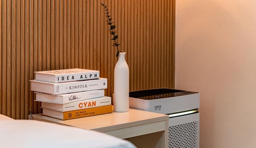 Room (Deluxe A (65" Smart TV/Netflix/Disney)