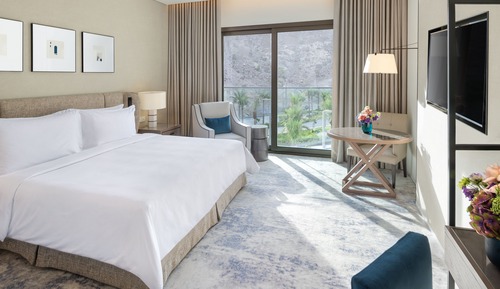 Deluxe Room, 1 King Bed, Mountain View