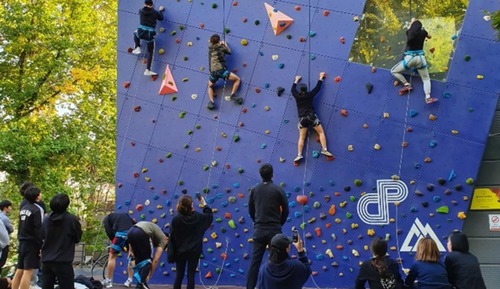 Room (vintage caravan)