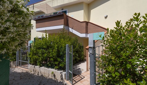 Standard Apartment Azalea