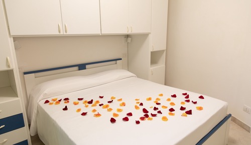 Standard Apartment Anemone