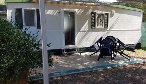 Classic Mobile Home