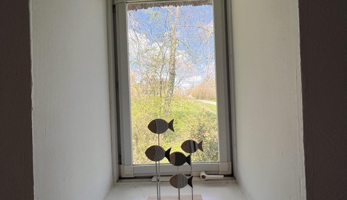 Superior Apartment, Private Bathroom, Garden View (Ferienwohnung Nr. 4)