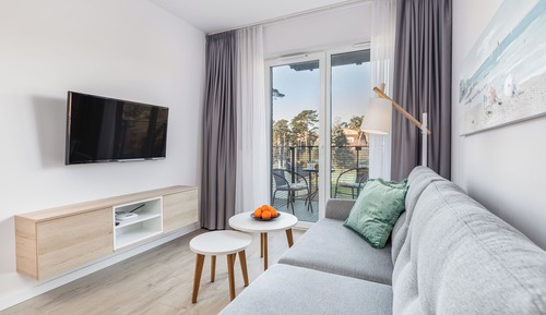 Premium Apartment, 1 Bedroom, Sauna