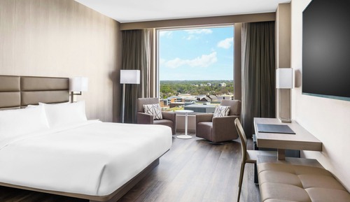 Room, 1 King Bed, City View (Mobility Accessible, Roll-In Shower)