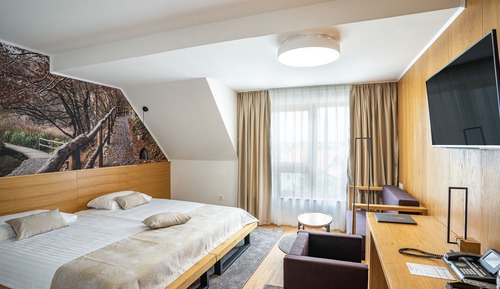 Comfort Double or Twin Room