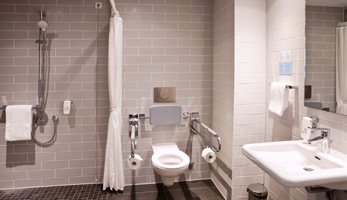Room, 1 Queen Bed, Roll-in Shower