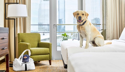 Suite, Multiple Beds, Balcony