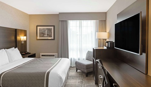 Standard Room, 1 Queen Bed, Non Smoking, Refrigerator & Microwave