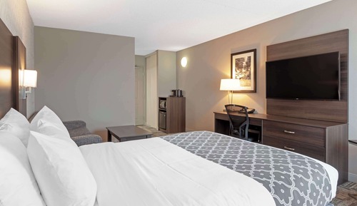 Standard Room, 1 Queen Bed, Non Smoking, Refrigerator & Microwave (with Sofabed)