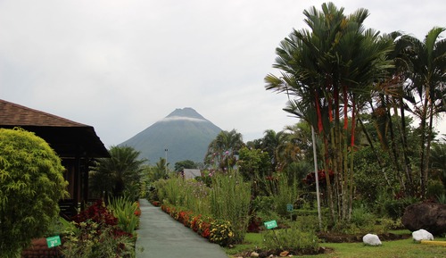 Family Bungalow, 1 Bedroom, Mountain View