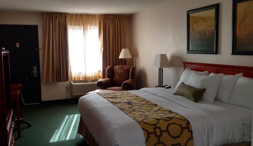 Suite, 1 King Bed, Roll-in Shower, Non Smoking (Mobility Accessible)