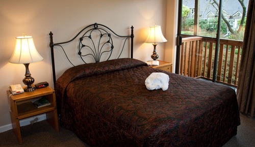 Standard Room, 1 Queen Bed (Not Pet Friendly)