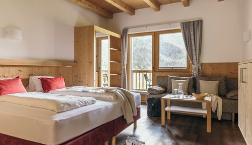Standard Double Room, Terrace, Annex Building (Tradition)