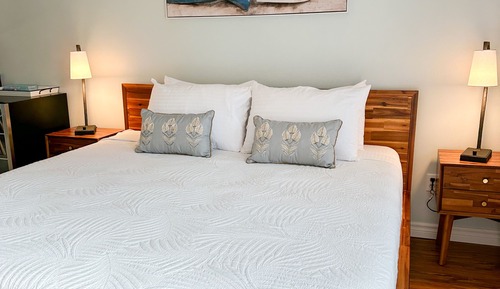 Classic Studio, 1 King Bed, Kitchenette, Courtyard Area