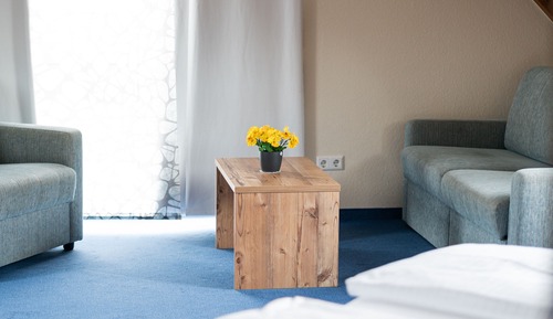 Superior Studio, 1 Double Bed with Sofa bed, Ensuite, City View