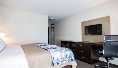 Standard Room, 1 King Bed, Non Smoking