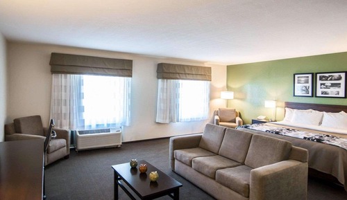 Suite, 1 King Bed with Sofa bed, Non Smoking, Jetted Tub