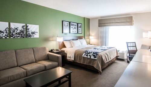 Suite, 1 King Bed with Sofa bed, Non Smoking