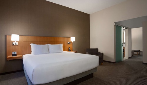 Room, 1 King Bed with Sofa bed, Accessible (With Sofa Bed, Roll-in Shower)