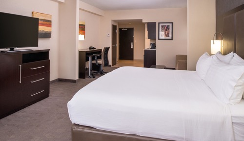 Suite, 1 King Bed with Sofa bed