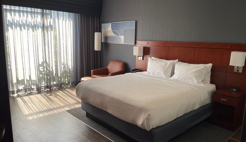 Room, 1 King Bed with Sofa bed (Mobility/Hearing Accessible, Tub)