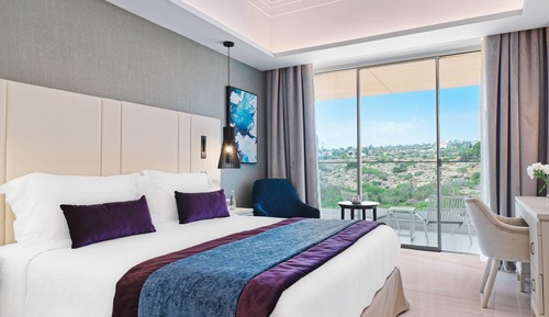 Deluxe Room, Hill View