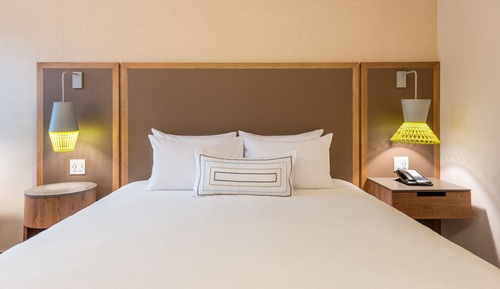 Room, 1 King Bed