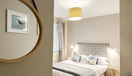 King Or Twin Skylight - Not Pet Friend