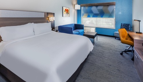 Suite, 1 King Bed (Roll-In Shower)