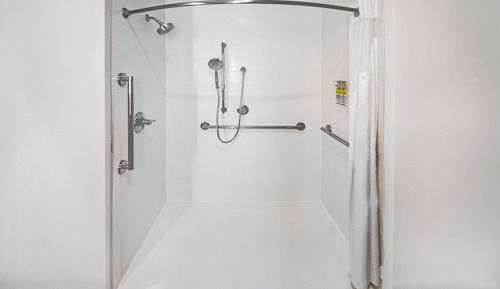 Room, 1 King Bed, Accessible (Roll-In Shower)