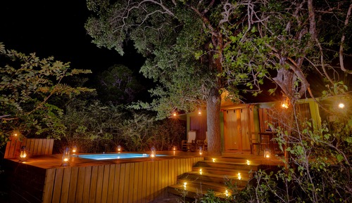 Eagle Tent with Private Pool (10% Off on Wildlife Safaris)