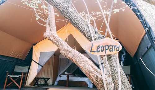 Leopard Tent with Private Pool (10% Off on Wildlife Safaris)