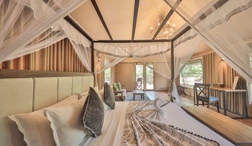 Owl Tent with Private Pool (10% Off on Wildlife Safaris)