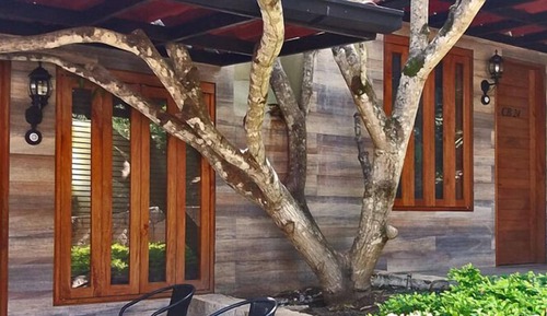 Basic Cabin