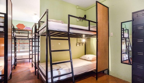 Bed in 6-Bed Dormitory Room