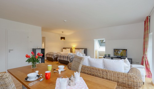 Comfort Studio, Kitchen, Garden View