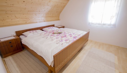Cottage (Country House Srček with  Vineyard V)