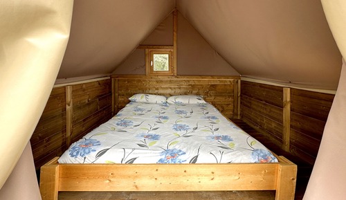 Basic Tent