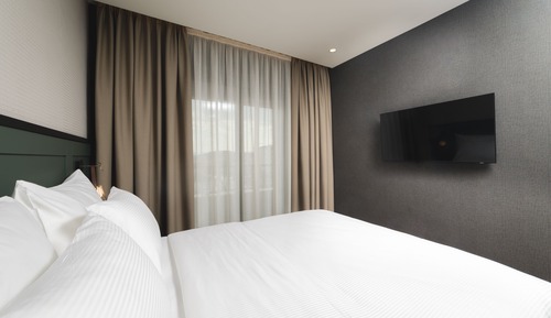 Standard Suite