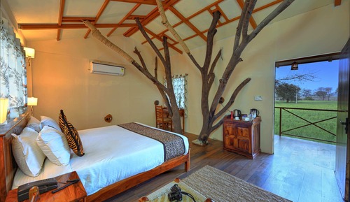 Tree House