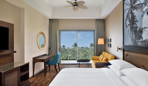 Room, 1 King Bed
