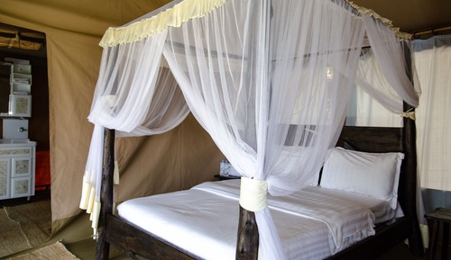 Standard Tent