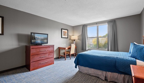 Standard Studio, 1 King Bed, Accessible, Kitchen