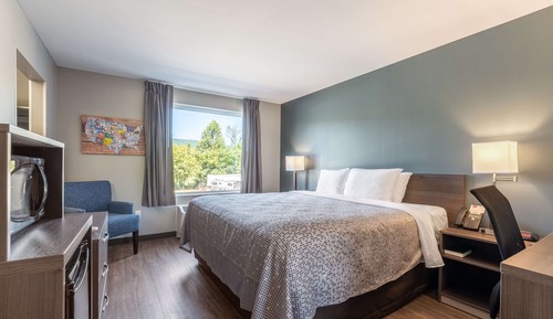 Standard Room, 1 King Bed, Non Smoking