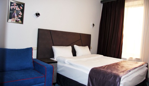 Deluxe Double or Twin Room, 1 Bedroom, Non Smoking, Refrigerator